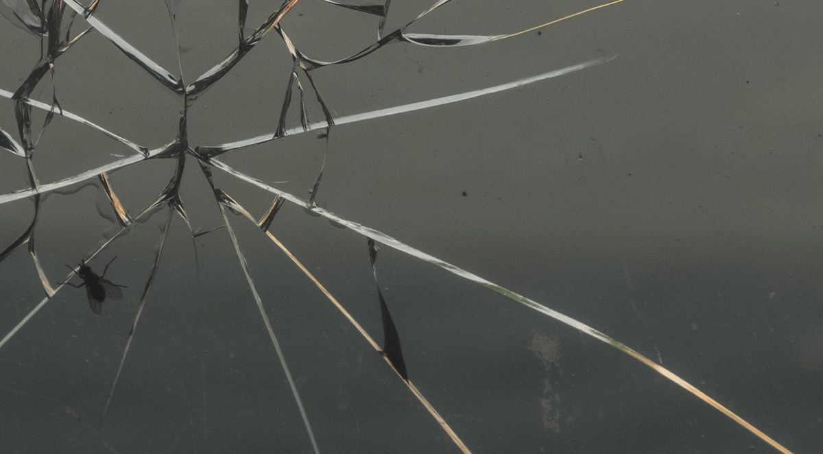 what you need to know cracked windshield