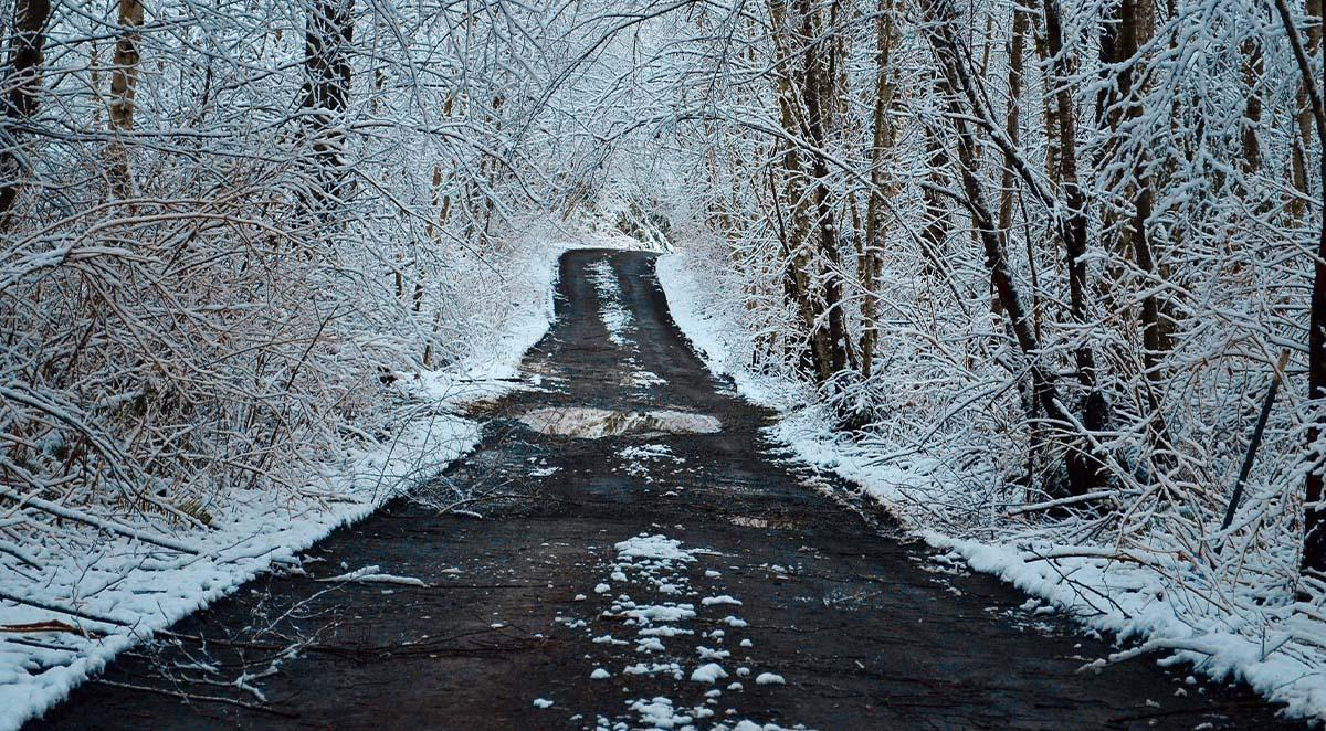 Winter Vehicle Damage Repair Western North Carolina