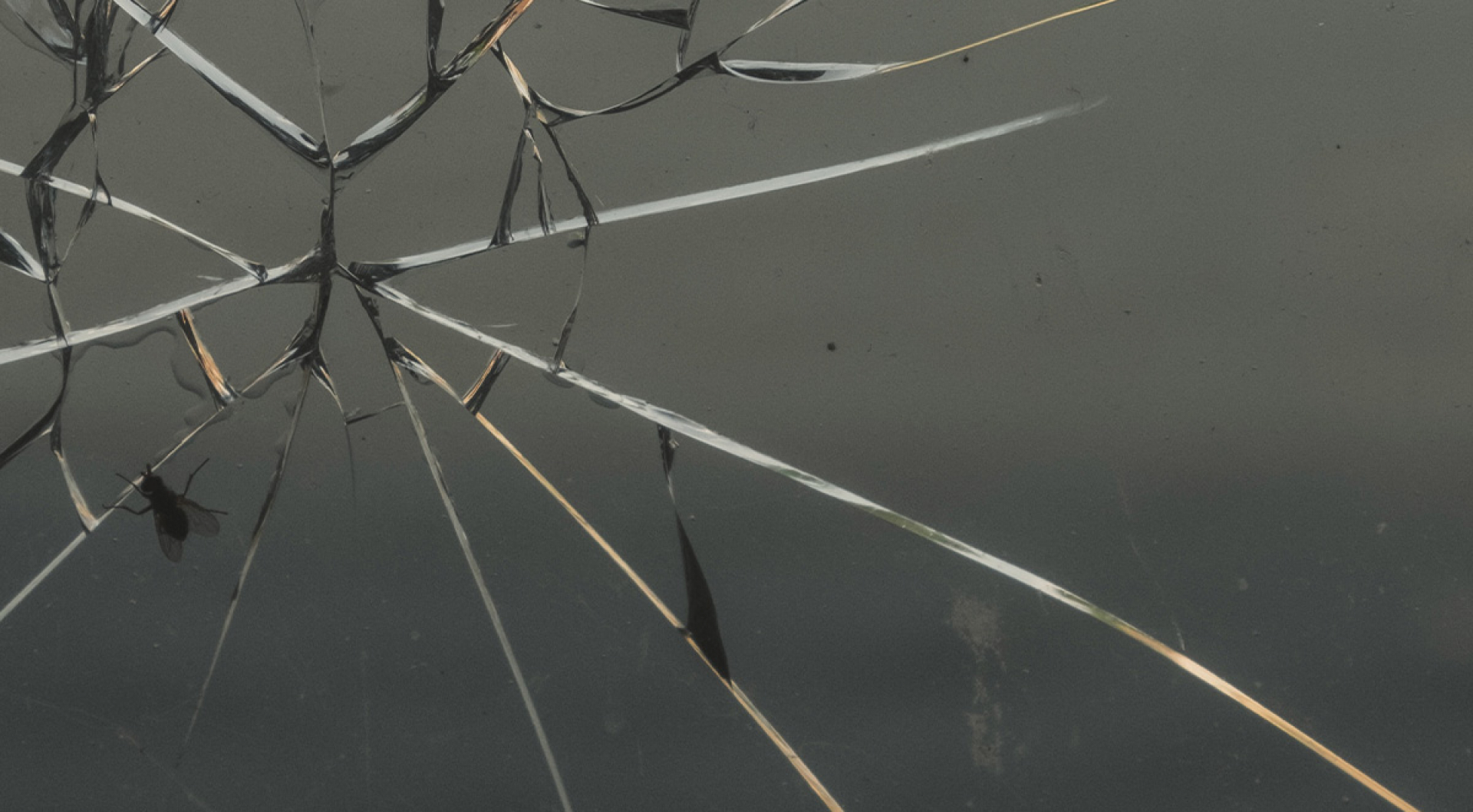 What You Need to Know about Cracked Windshields